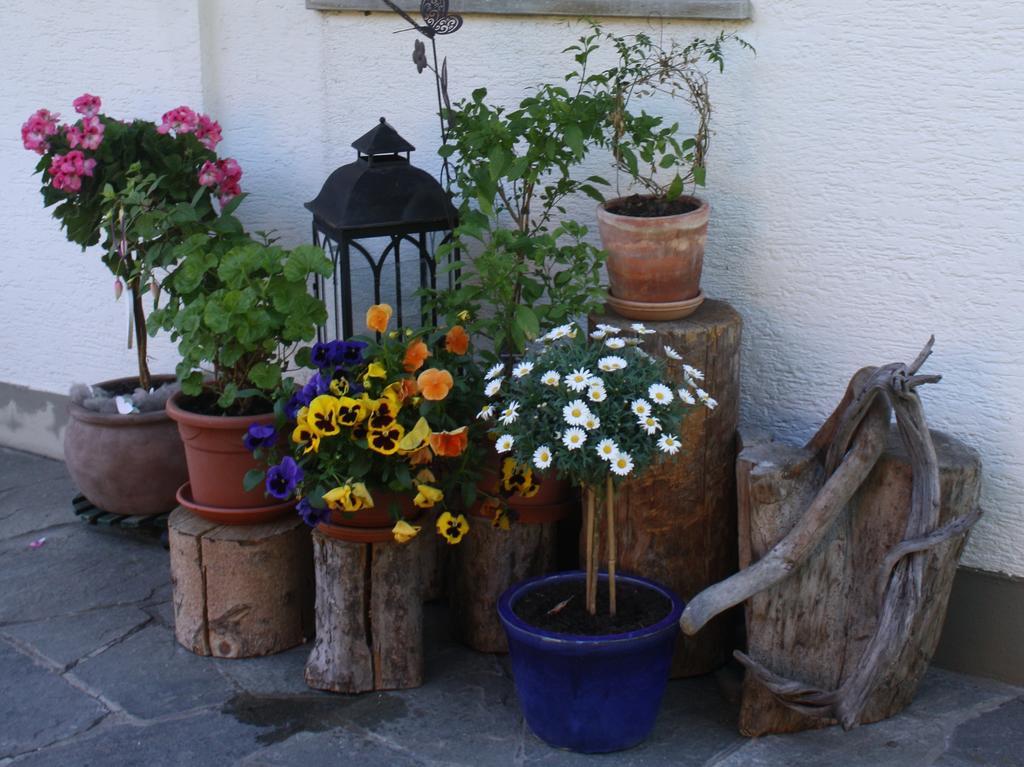 Appartamento Haus Hofer Bramberg am Wildkogel Esterno foto
